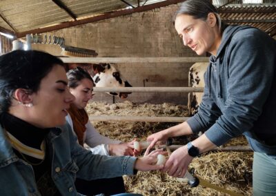 Projet 4 saisons : ferme pédagogique